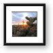 Sunset and cactus Framed Print