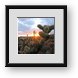 Buy Framed Print