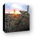 Sunset and cactus (another view) Canvas Print