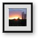 Buy Framed Print