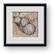 Buy Framed Print