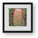 Buy Framed Print