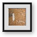 Buy Framed Print