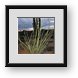 Buy Framed Print