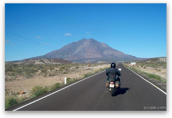 Adam cruising along  Fine Art Metal Print