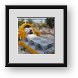 Buy Framed Print