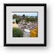 Buy Framed Print