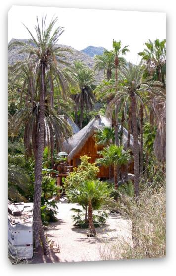 A vacation cottage in Mulege Fine Art Canvas Print