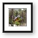 A vacation cottage in Mulege Framed Print