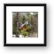 Buy Framed Print