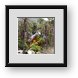 Buy Framed Print