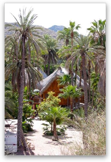 A vacation cottage in Mulege Fine Art Metal Print