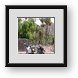 Buy Framed Print