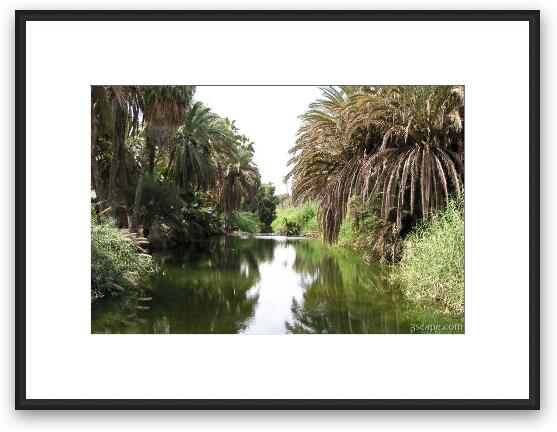 The river that feeds the Mulege oasis Framed Fine Art Print