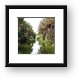 The river that feeds the Mulege oasis Framed Print