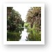 The river that feeds the Mulege oasis Art Print