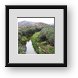 Buy Framed Print