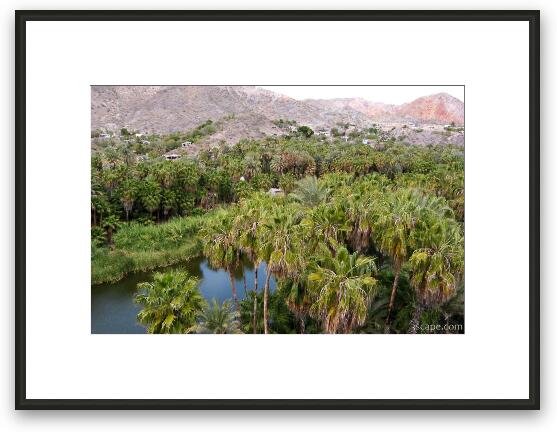 Mulege oasis Framed Fine Art Print