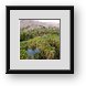 Buy Framed Print