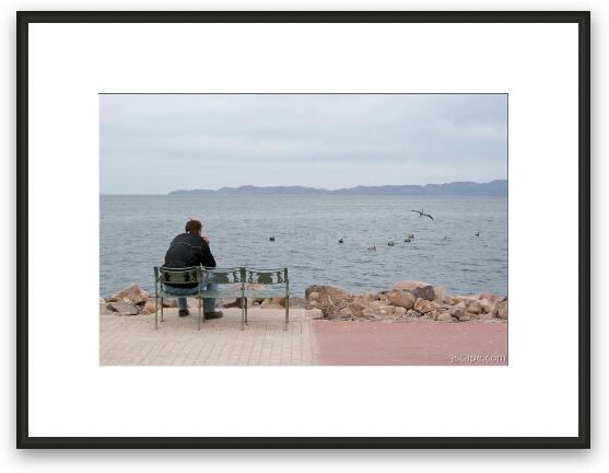 Falke contemplating the meaning of life Framed Fine Art Print