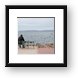 Falke contemplating the meaning of life Framed Print