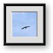 Buy Framed Print