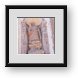 Buy Framed Print