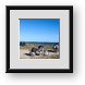 Buy Framed Print