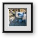 Buy Framed Print
