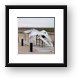 Gray Whale skeleton Framed Print