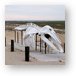 Gray Whale skeleton Metal Print