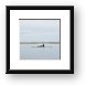 Our first look at a whale Framed Print