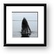 Buy Framed Print