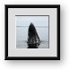 Buy Framed Print