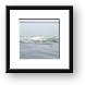 Gray Whale sloshing back in the water Framed Print