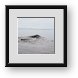 Buy Framed Print