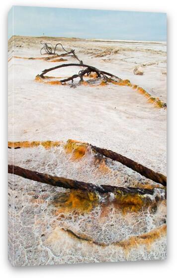 Rusting metal on the salt flats  Fine Art Canvas Print