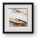 Buy Framed Print
