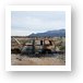 Rusted out car  Art Print