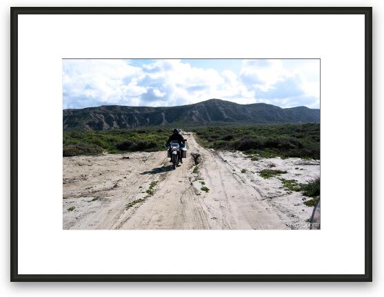 Falke cruising on sandy road Framed Fine Art Print