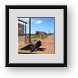 Buy Framed Print