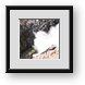 Buy Framed Print