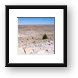 The Arizona Desert Framed Print