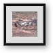 Buy Framed Print