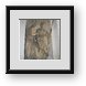 Buy Framed Print