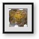 Buy Framed Print