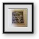 Buy Framed Print
