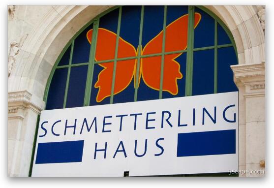 The Butterfly House at Hofburg Fine Art Metal Print