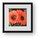 Buy Framed Print