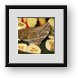 Buy Framed Print